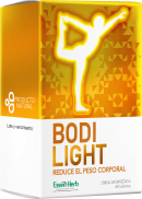 Bodilight-Montaje